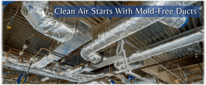 Air Duct Mold Removal in Arlington TX