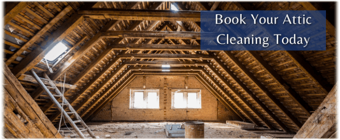 Attic Cleaning Arlington TX