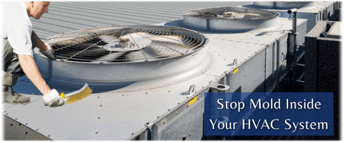 HVAC Mold Removal Arlington TX